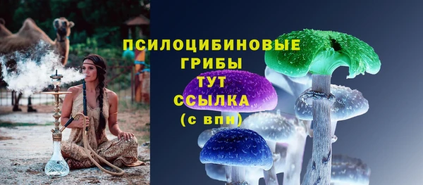 эйфоретик Балахна