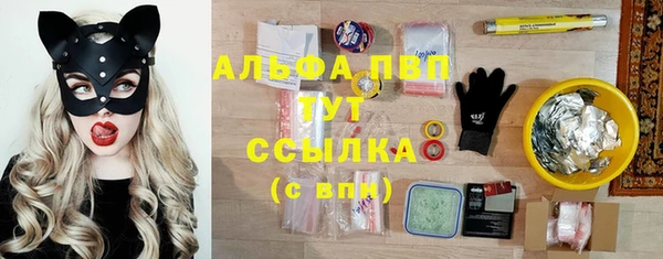 ПСИЛОЦИБИНОВЫЕ ГРИБЫ Снежногорск