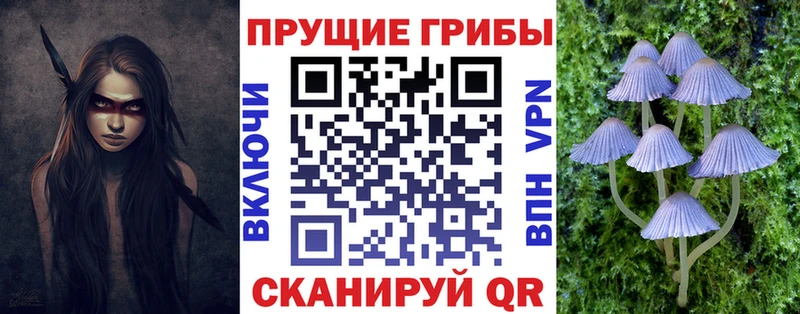 kraken ONION  Заполярный  Псилоцибиновые грибы мицелий  купить  